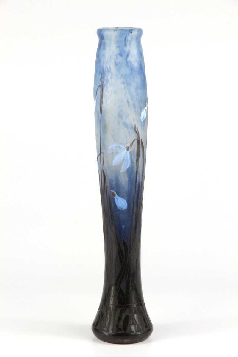 Vase Daum Nancy (perce-neige)-photo-8