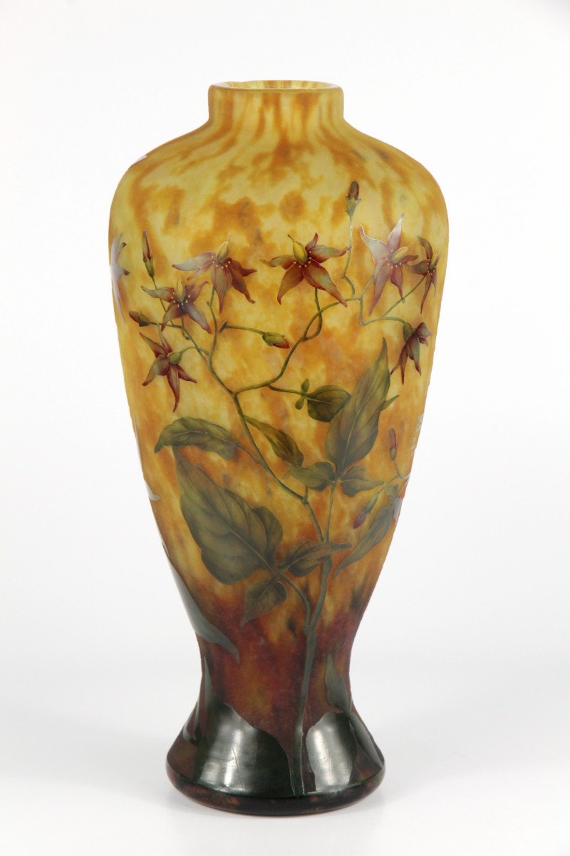 Vase Daum Nancy (solanées)-photo-2