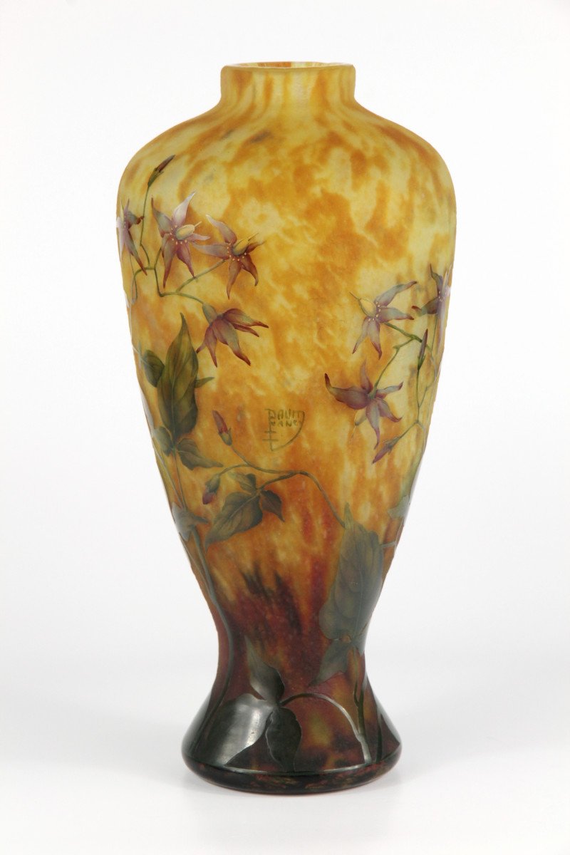 Vase Daum Nancy (solanées)-photo-3