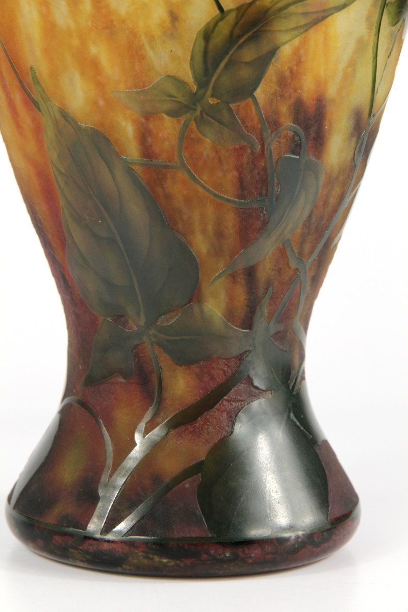 Daum Nancy Vase (solanum)-photo-8