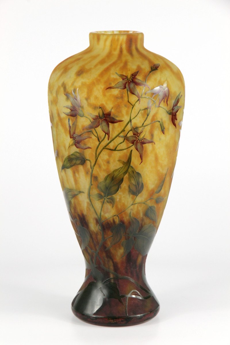 Daum Nancy Vase (solanum)