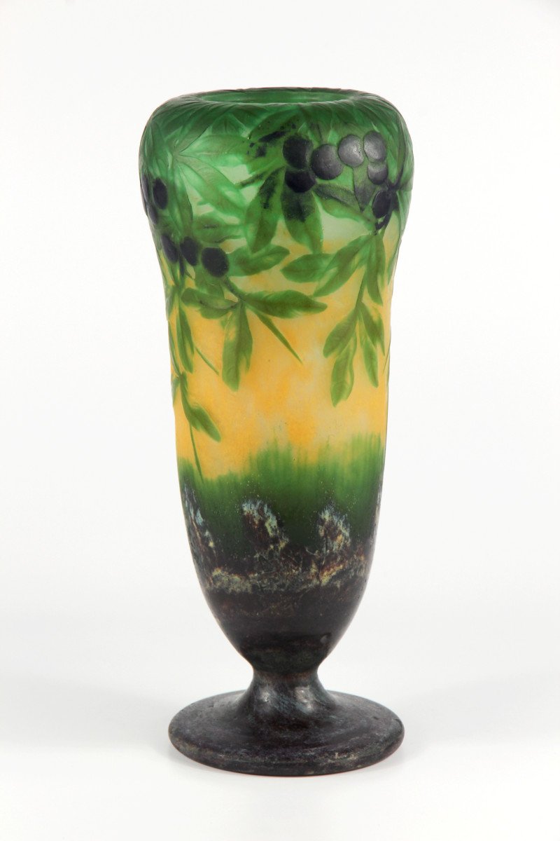 Vase Daum Nancy (prunellier)