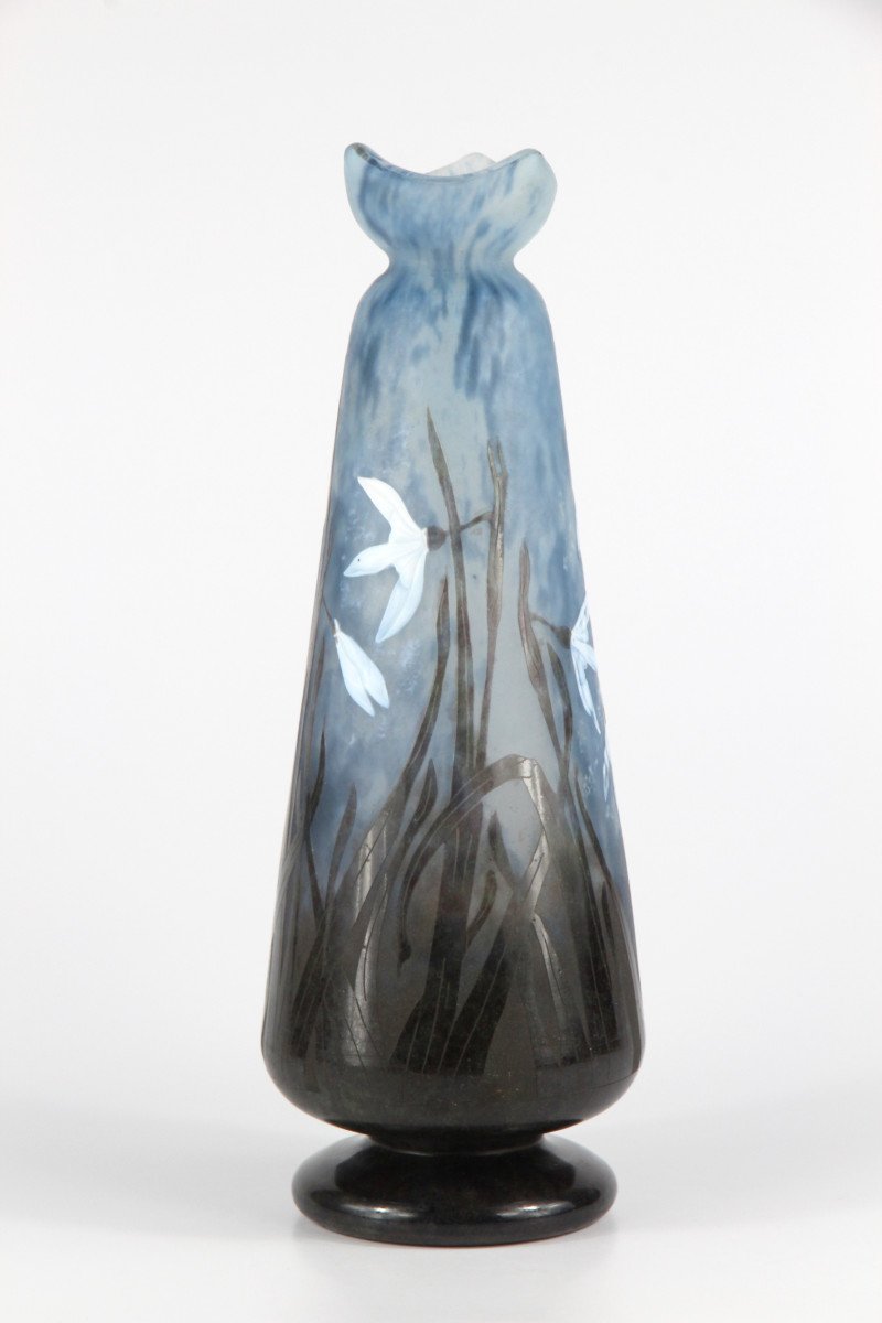 Vase Daum Nancy (perce-neige)-photo-3