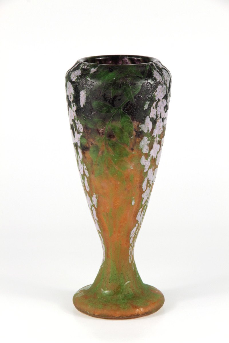 Vase Daum Nancy (glycines)-photo-1