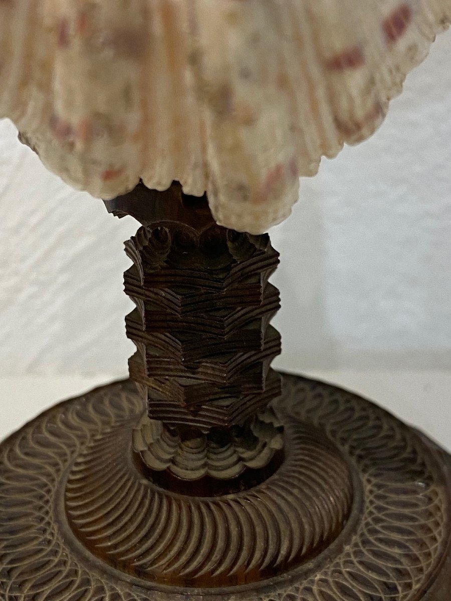 Rare & Beautiful Shell Empty Pocket Mounted On A Chiseled Rosewood Foot - Late 18th Century -photo-3