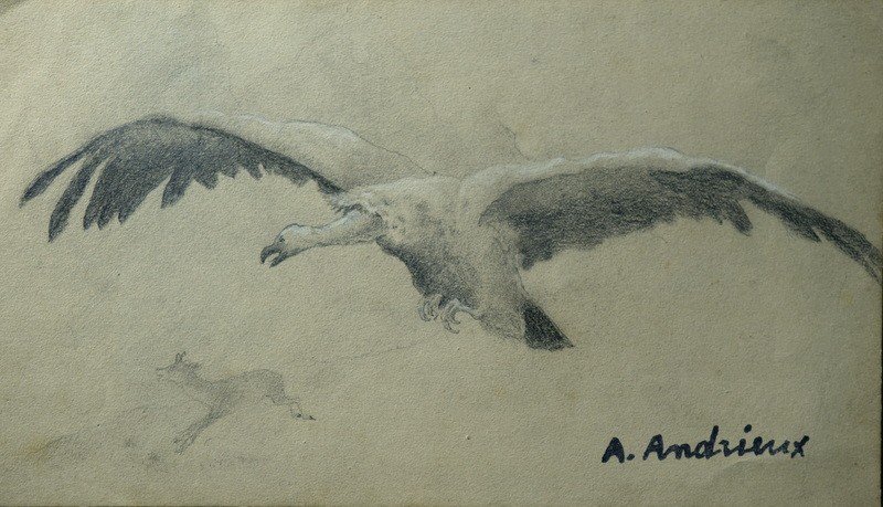 "VAUTOUR et CHAMOIS" par Alfred ANDRIEUX vers 1920