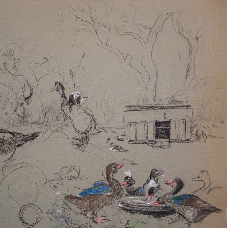 Grand Dessin "CANNES et CANARDS" par Eliane DIVERLY -photo-4