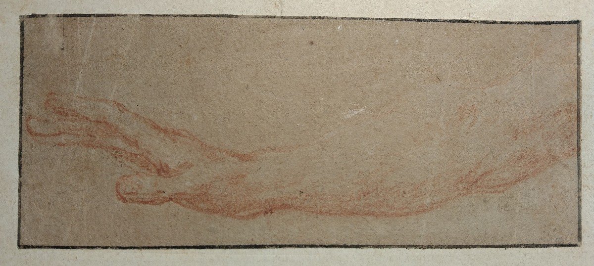 Small Study "arm And Hand" Sanguine 18th Century