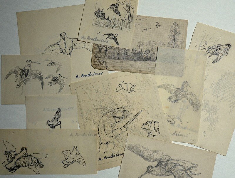 Lot Of 10 Drawings "woodcocks" By Alfred Andrieux