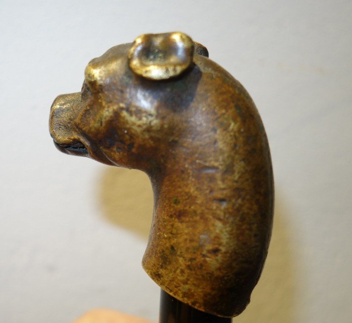 "TETE de BOXER" Pommeau de Canne en Bronze vers 1900-photo-3