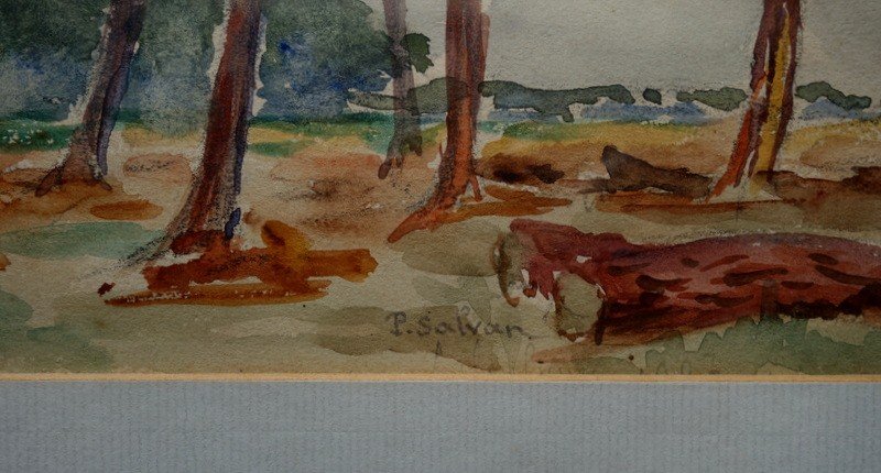 "landes Landscape" By Paul Salvan Circa 1950-photo-3