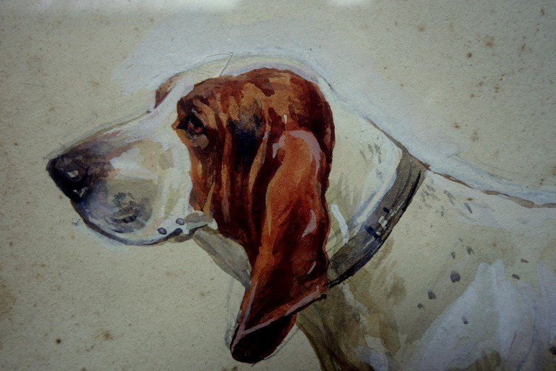 "basset Hound" By Paul Mahler Around 1900-photo-4