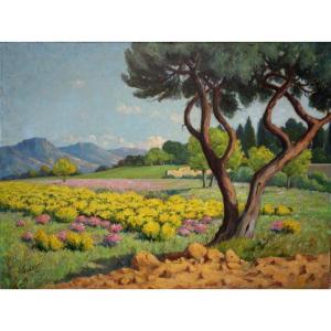 "PAYSAGE de PROVENCE " par A.BONNOT ...193?