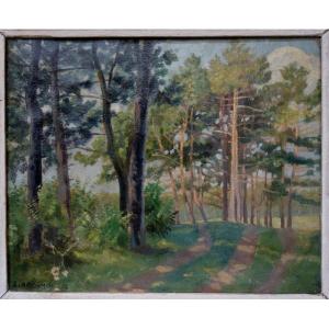“pines Des Landes” By L.abramovitz (?) Circa 1950