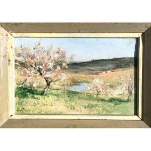 "apple Trees In Blossom" By Jaclaire, Orne, Normandy Circa 1930