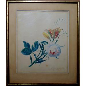 "ROSE et TULIPE" Aquarelle de C.G Van de KASTEELE (?) vers 1900