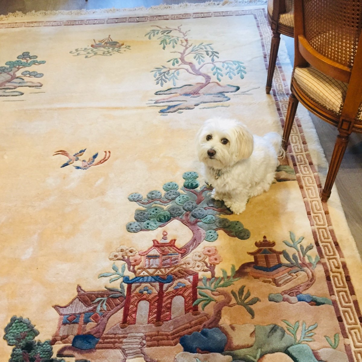 Tapis Chinois -photo-2