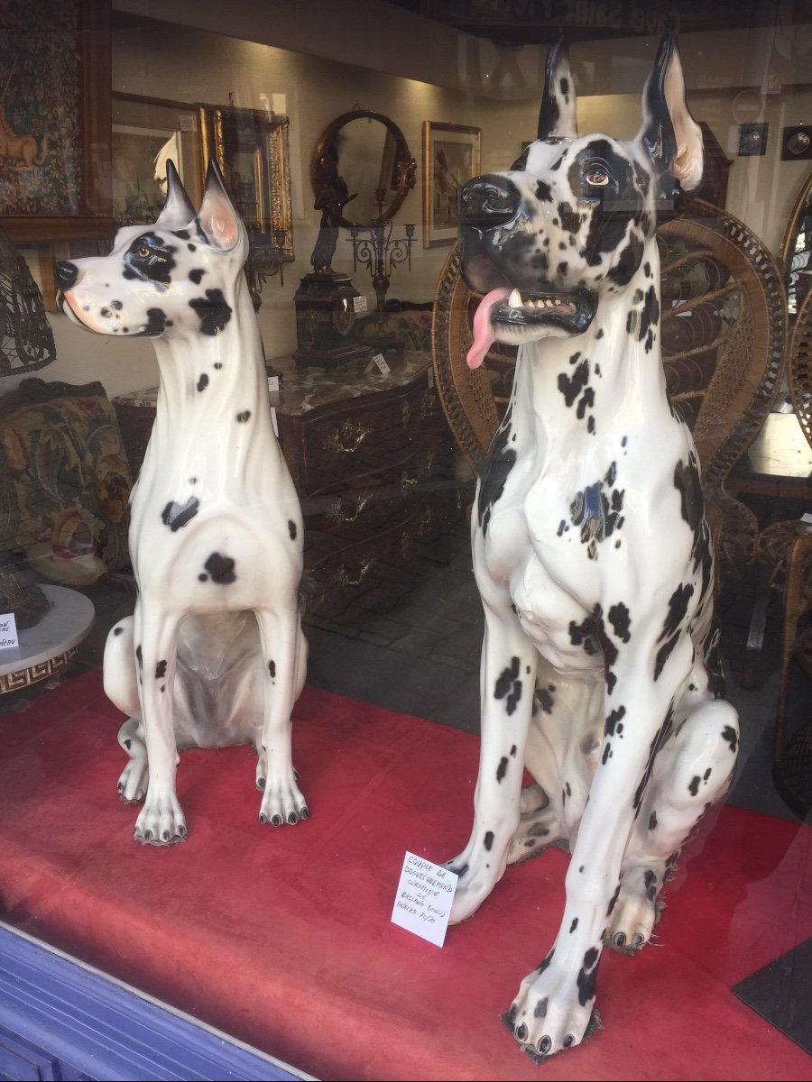 Rare Pair Of Great Danes In Earthenware. Life-size, 70s/80s