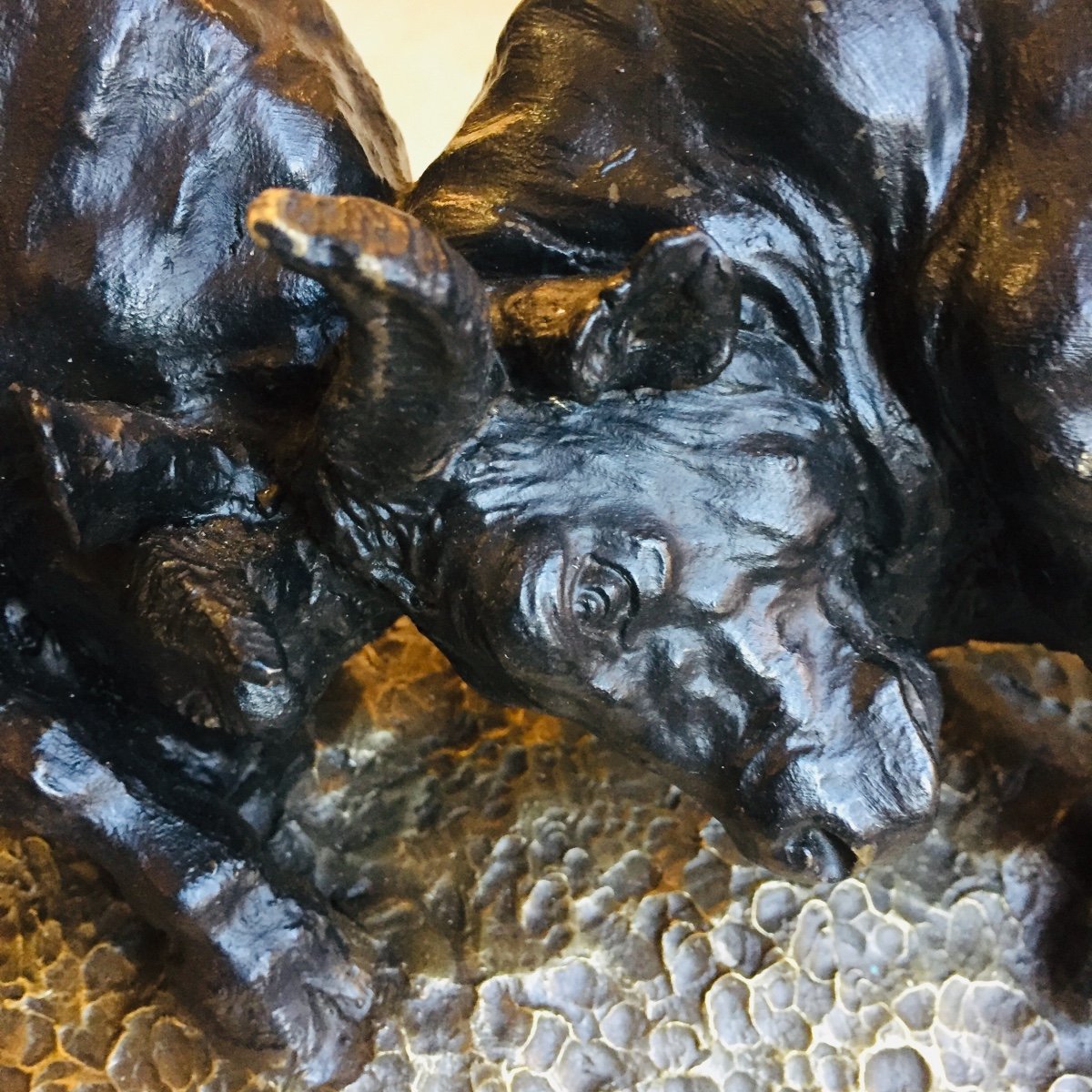 Beautiful Bronze. Wild Bull Fight -photo-2