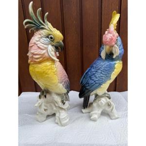 Pair Of Karl Ens Saxony Porcelain Parrot Sculptures, German, Early 20th Century.