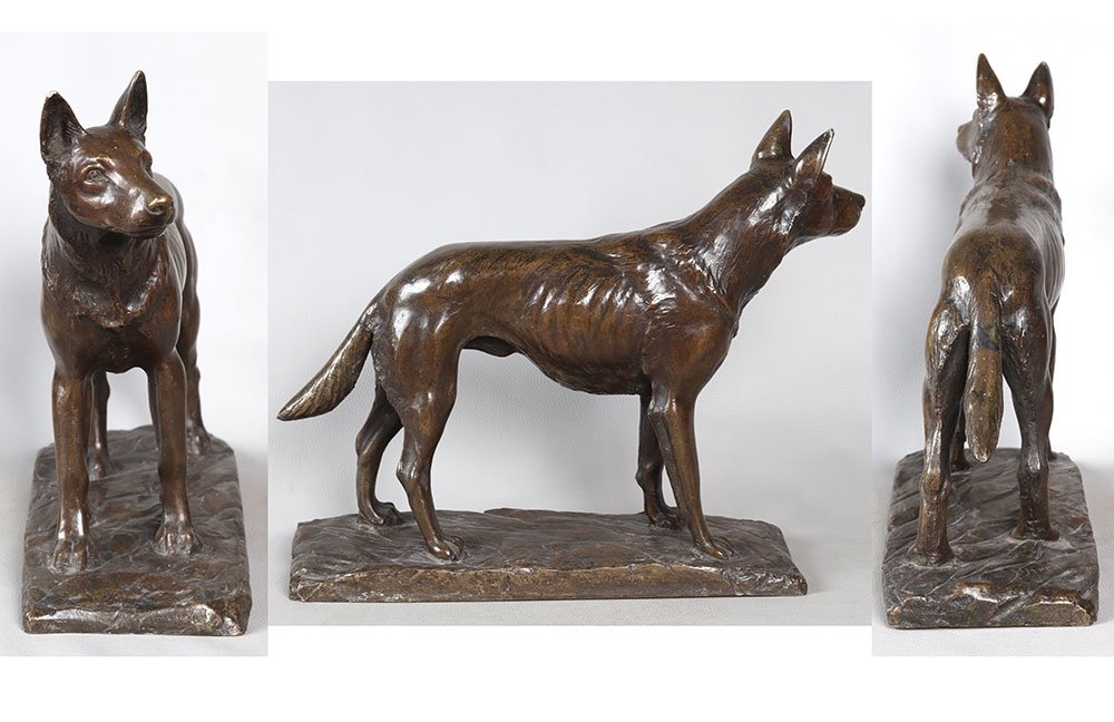 19th Century Bronze, Signed H. Hanggen Or H. Hanssen, Shepherd Dog-photo-3