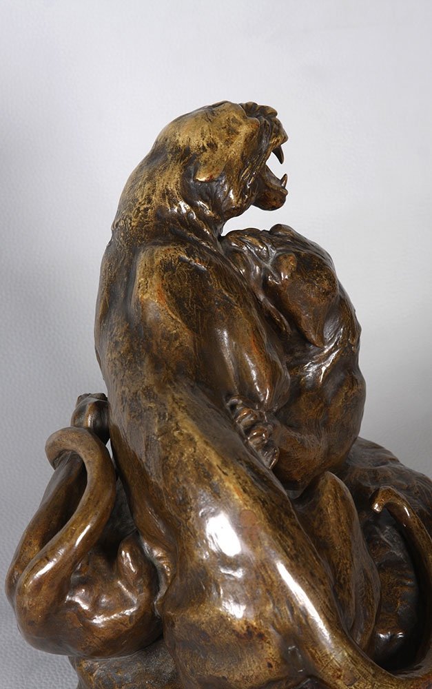 Art Deco Bronze, Friedrich Gornik 1877 / 1943, Panthers In Fight, Austrian School-photo-3