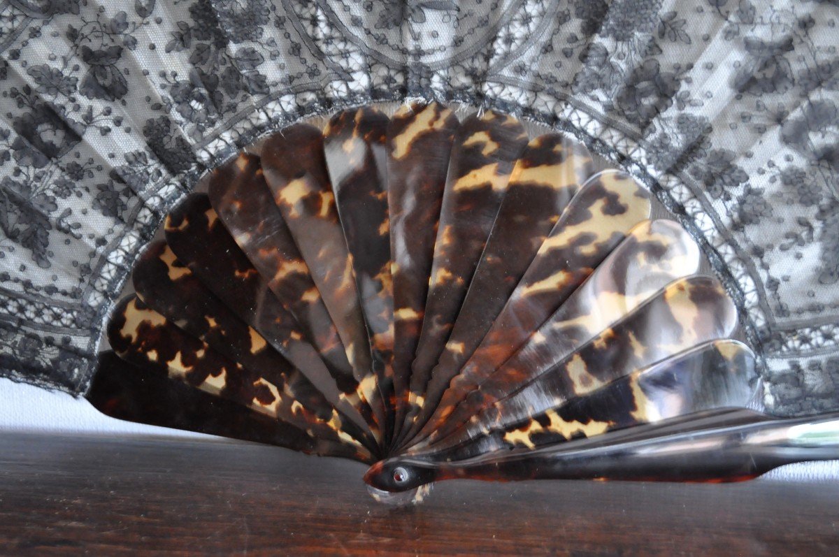 Fan In Lace And Scales, Encrypted, Circa 1800-photo-3