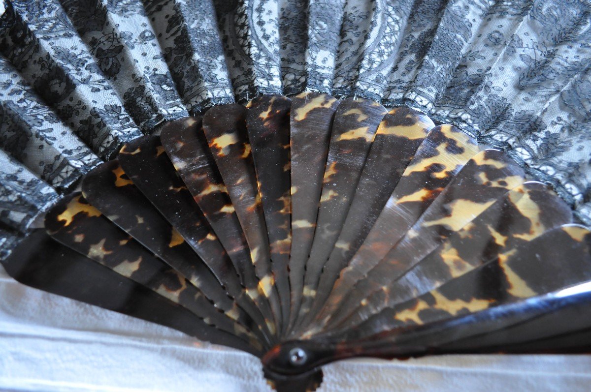 Fan In Lace And Scales, Encrypted, Circa 1800-photo-7