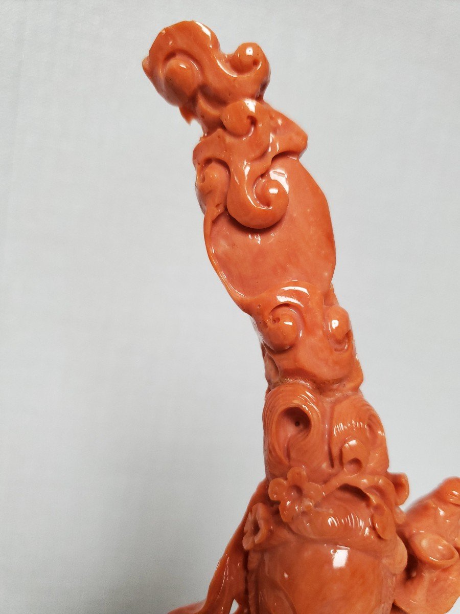 Sculpture - Orange-red Coral On Base-photo-4