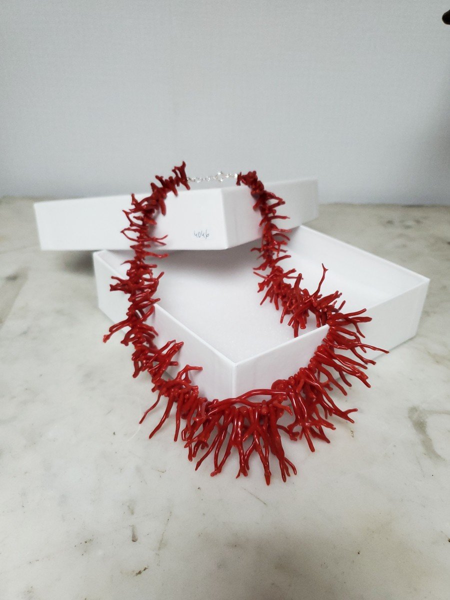 Jewelry - Dark Blood Red Coral And Fringed Necklace.