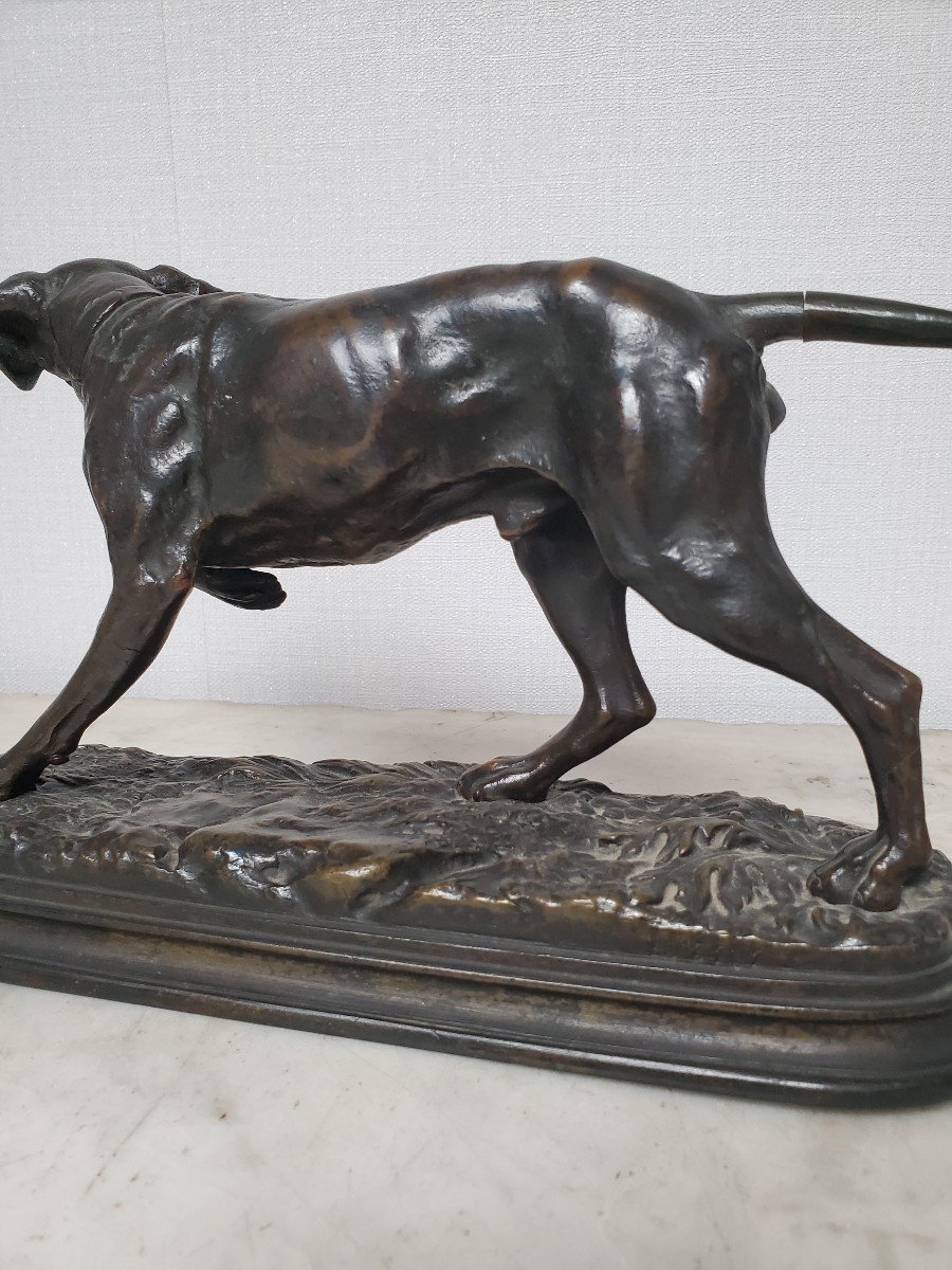 Sculpture - Bronze Animalier - Dubucan Alfred - XIXème-photo-1