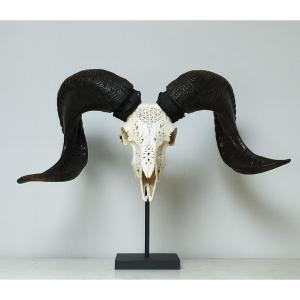 Taxidermy - Carved Ram Skull On Base