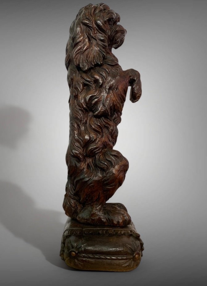 Black Forest Dog In Carved Wood Standing On Its Back Legs 19th Century-photo-2