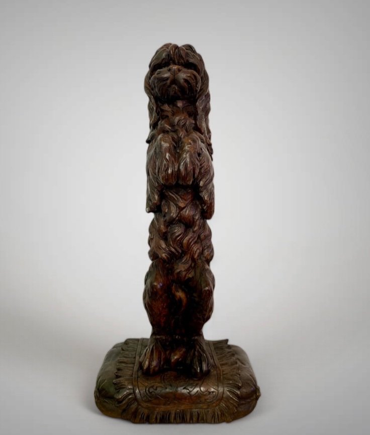 Black Forest Dog In Carved Wood Standing On Its Back Legs 19th Century-photo-3