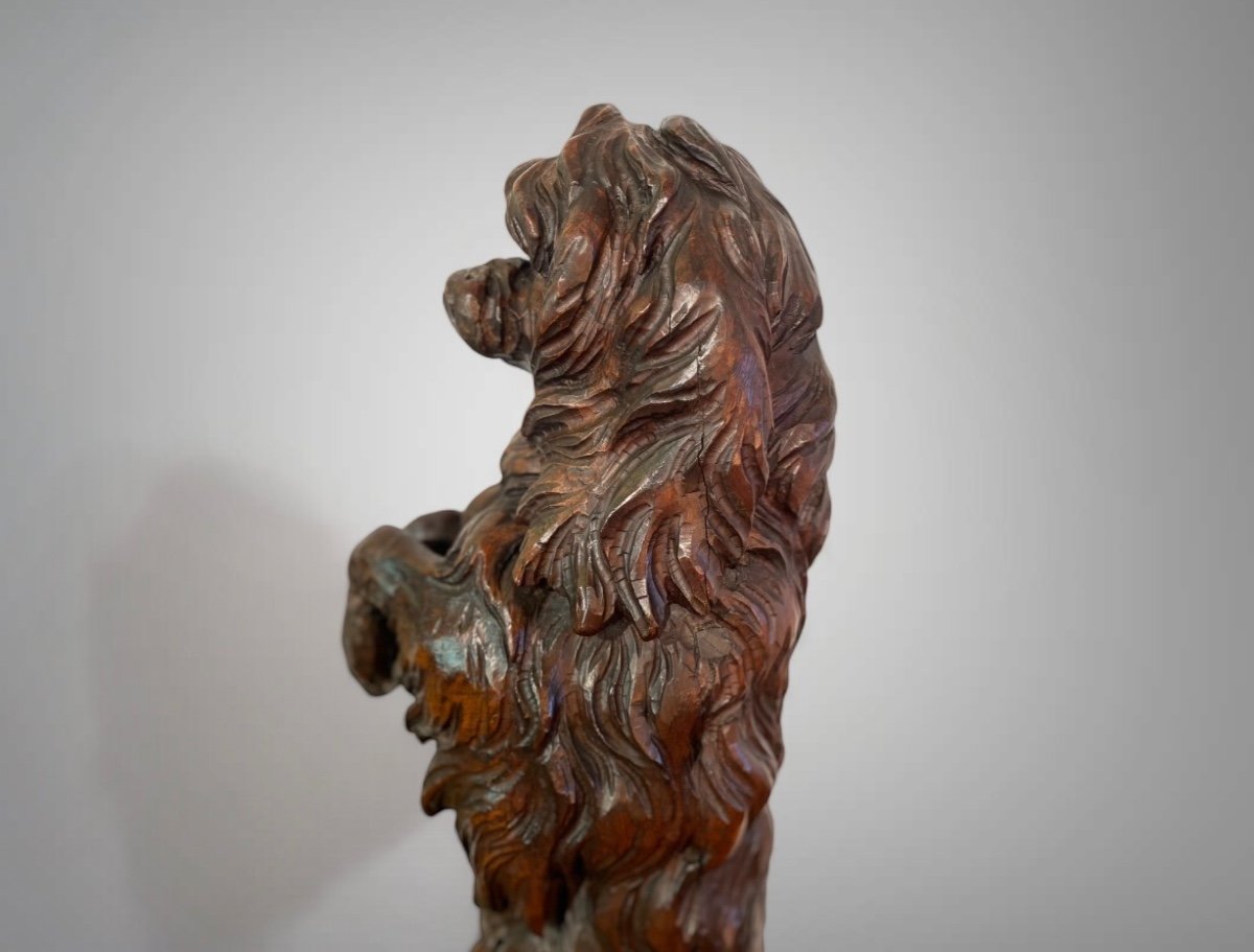 Black Forest Dog In Carved Wood Standing On Its Back Legs 19th Century-photo-2