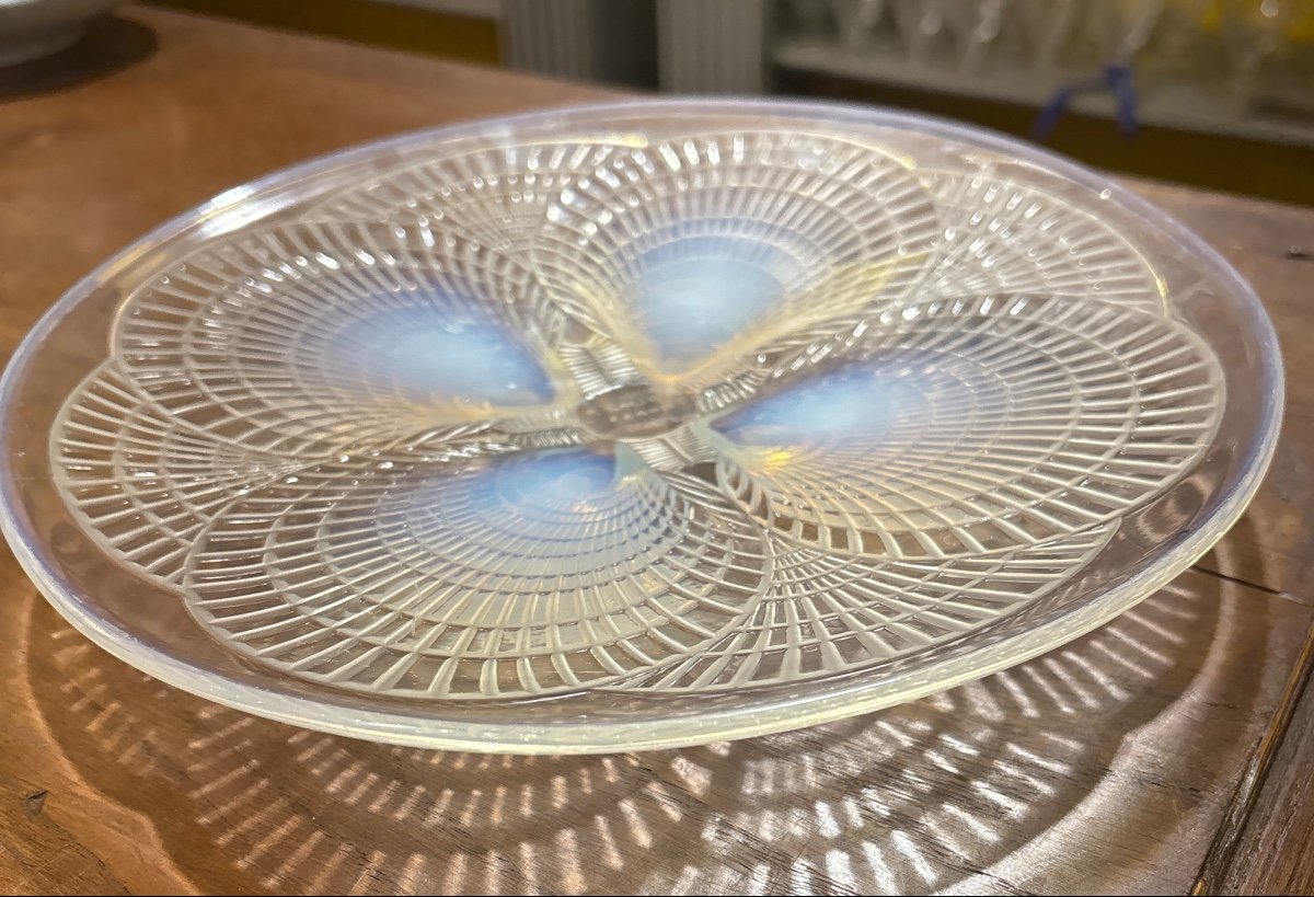 R.lalique Scallop Shell Plate-photo-3