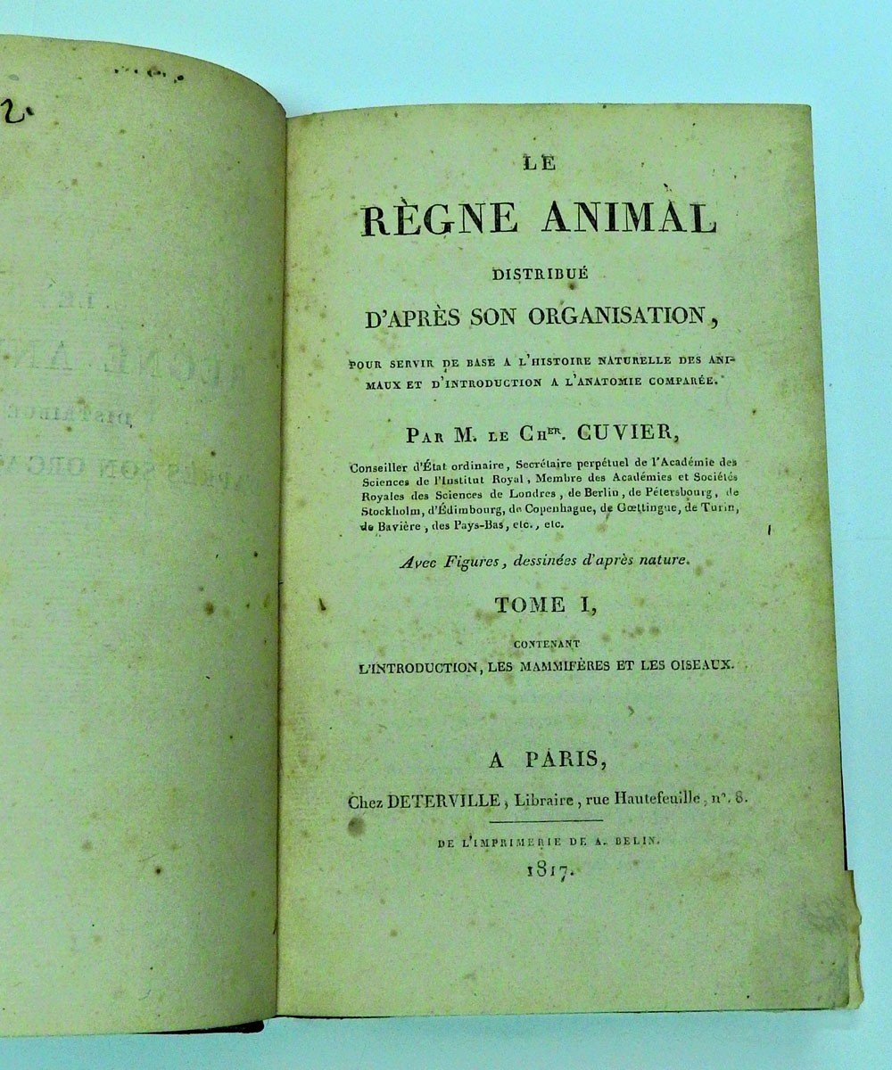 The Animal Kingdom Distributed After Its Organization By Georges Cuvier 1817-photo-1