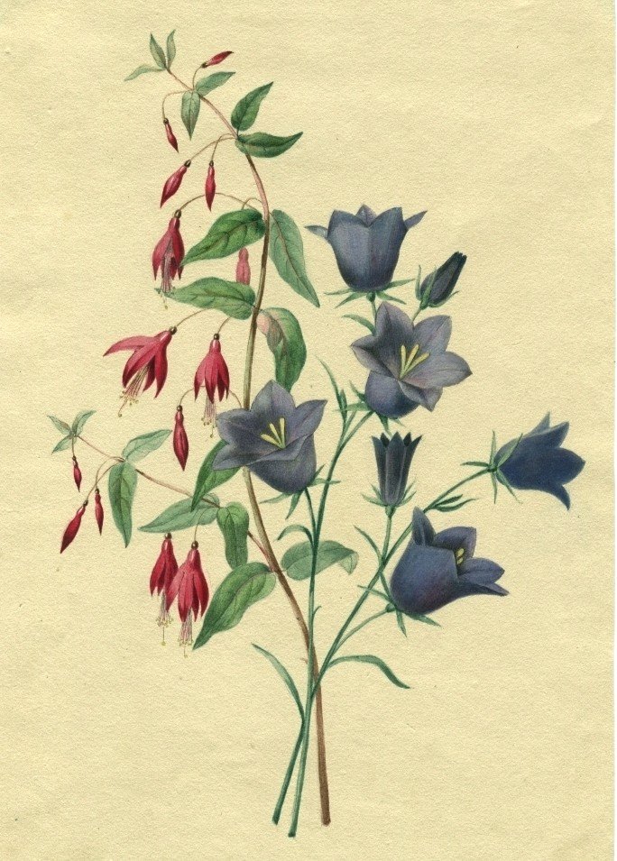 Watercolor Of Flowers - Original Drawing 