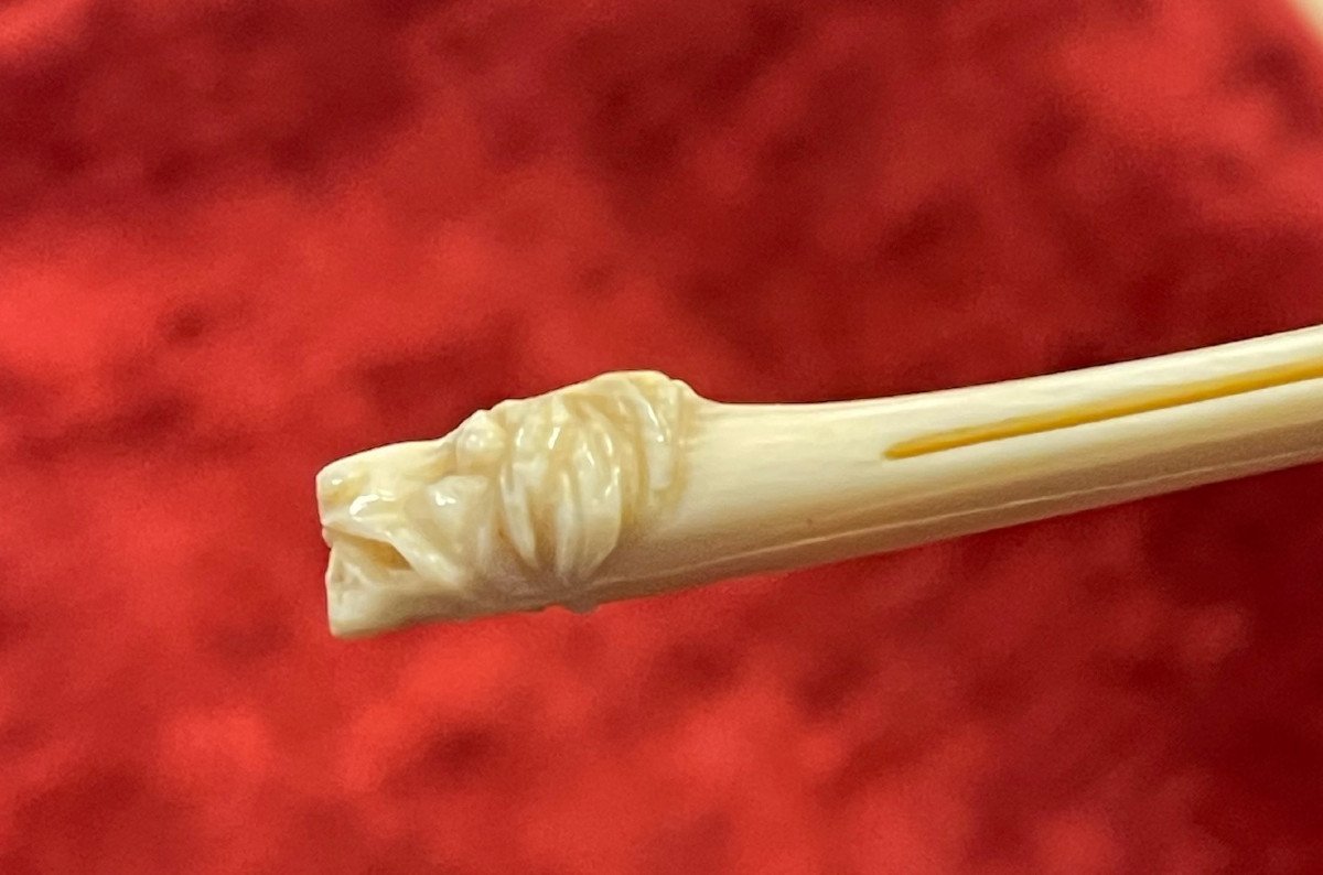 Ivory Bookmark Lion Head 19th Century Object Of Curiosity-photo-2