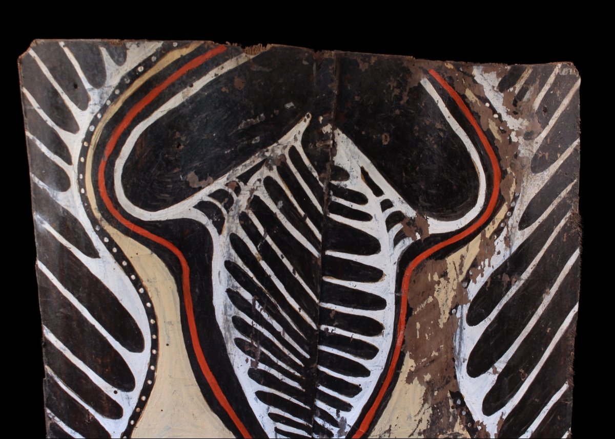 Double écorce Peinte, Art Tribal, Art Océanien, Peinture, Océanie, Papouasie Nouvelle Guinée-photo-1