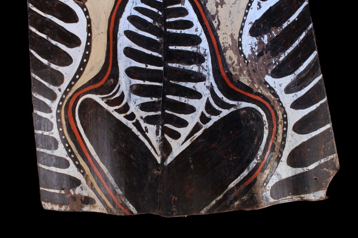 Double écorce Peinte, Art Tribal, Art Océanien, Peinture, Océanie, Papouasie Nouvelle Guinée-photo-5
