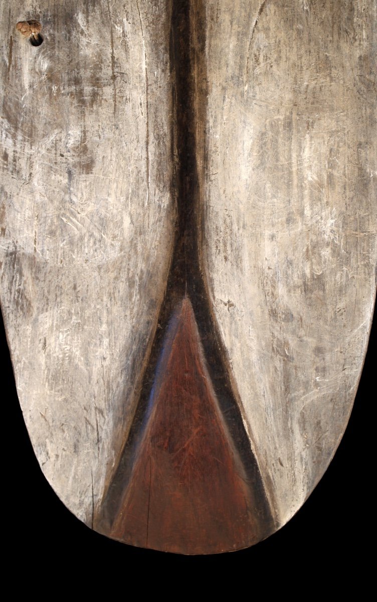 War Shield, Papua New Guinea, Oceania, Primitive Art, Oceanic Art, Sculpture-photo-4