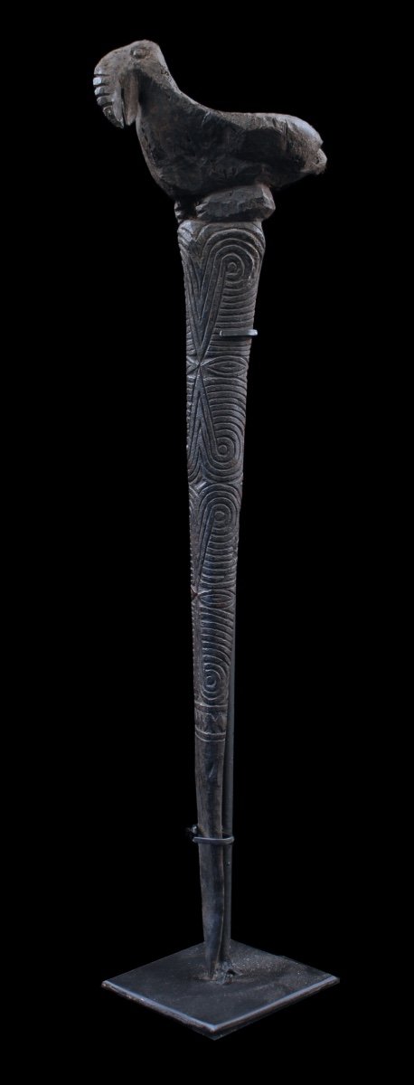 Cassowary Bone Dagger, Papua New Guinea, Oceania, Primitive Art, Oceanic Art