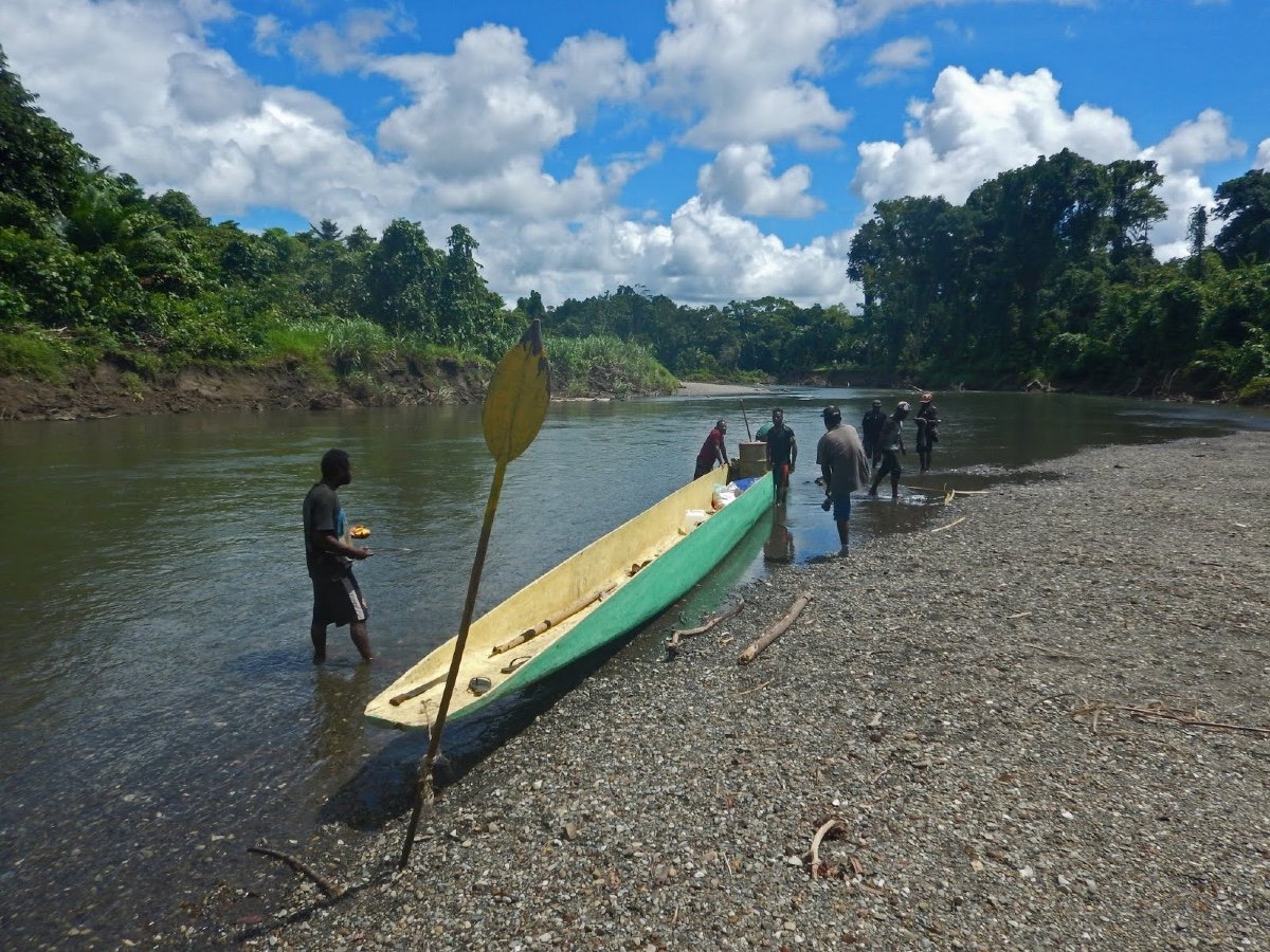 Paddle, Sepik River, Papua New Guinea, Oceanic Art, Tribal Art, Sculpture, Oceania-photo-4