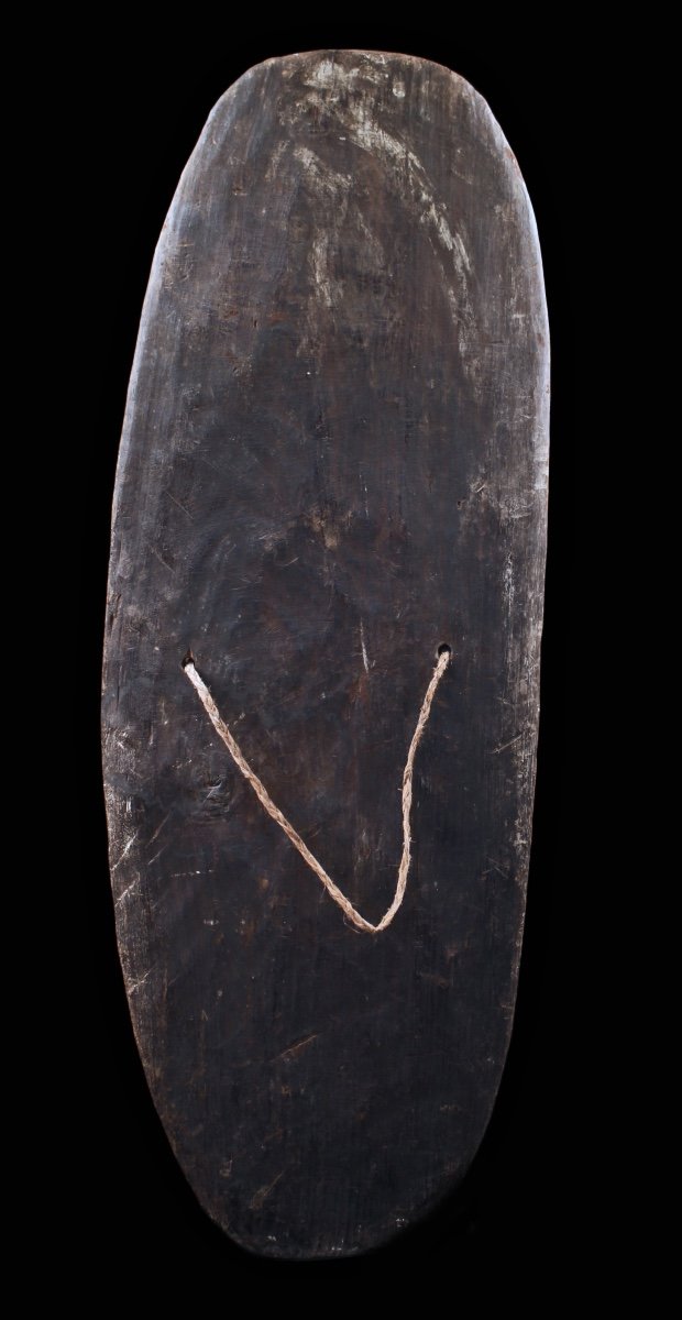 Shield, Papua New Guinea, Oceania, Primitive Art, Oceanic Art, Sculpture-photo-4