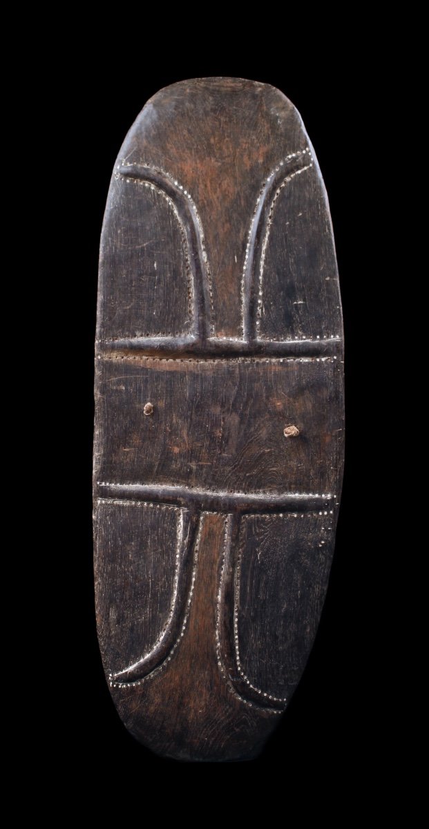 Shield, Papua New Guinea, Oceania, Primitive Art, Oceanic Art, Sculpture