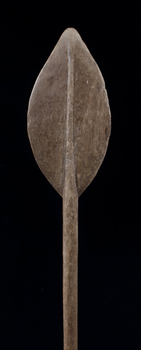 Paddle, Sepik River, Papua New Guinea, Oceanic Art, Tribal Art, Sculpture, Oceania-photo-2