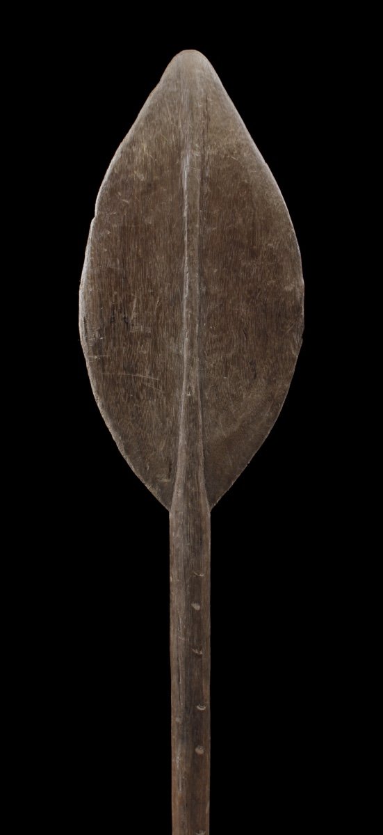 Paddle, Sepik River, Papua New Guinea, Oceanic Art, Tribal Art, Sculpture, Oceania-photo-2