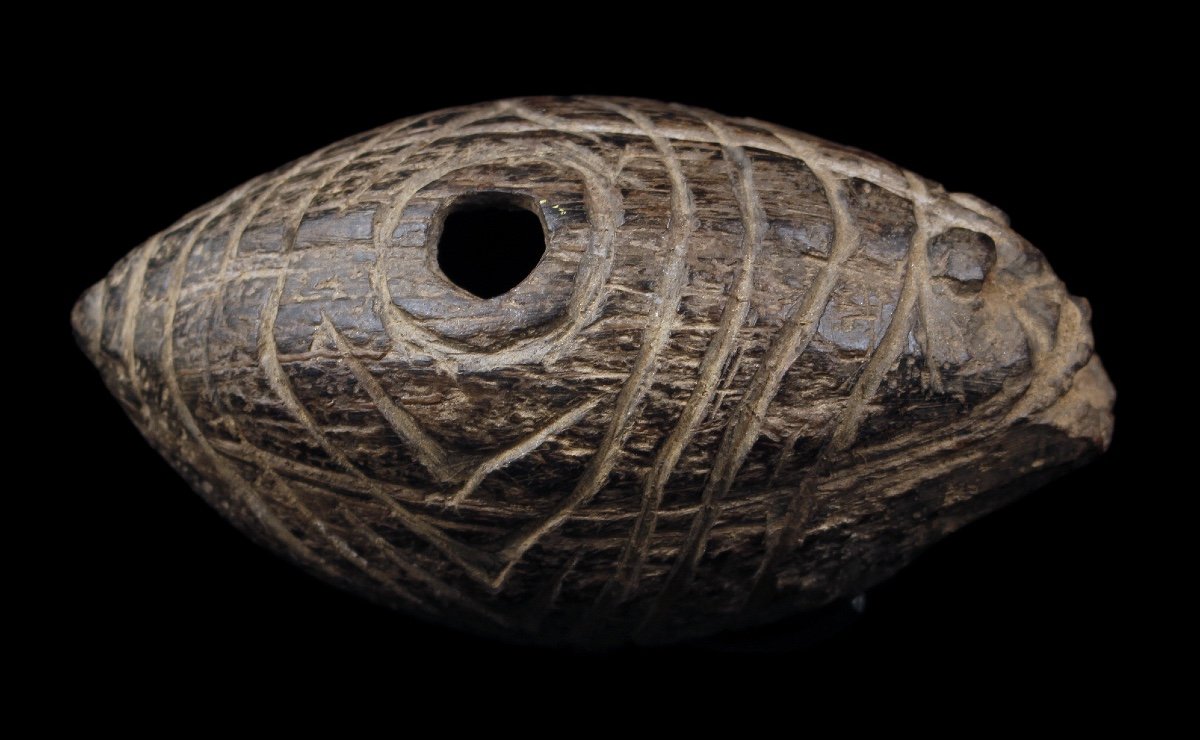 Chiseled Coconut, Tribal Art, Oceanic Art, Papua New Guinea, Ritual Flute-photo-1