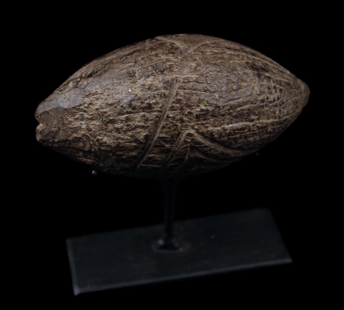 Chiseled Coconut, Tribal Art, Oceanic Art, Papua New Guinea, Ritual Flute-photo-3